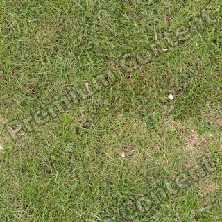 Seamless Grass 0015